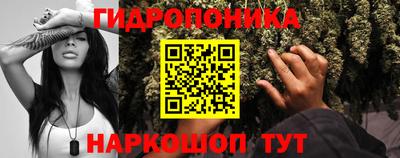 метадон Вышний Волочёк